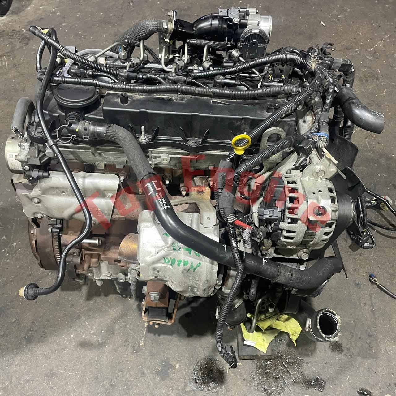 3.2L 5-Cylinder Turbo Diesel Engine P5AT Duratorq for Mazda BT-50 / Ford Ranger (2011–2020)